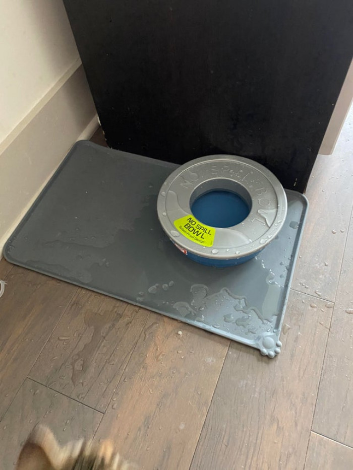 “No Spill Bowl” was apparently a challenge