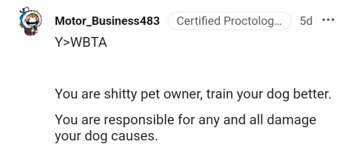 1. Training your dog is the right approach