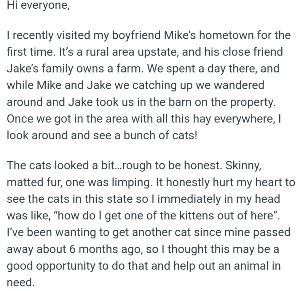 Here's an overview of the story