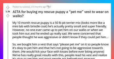 Redditors Start A Fiery But Hilarious Debate Over A "Pet Me" Patch Pawrents Placed On Their Dog