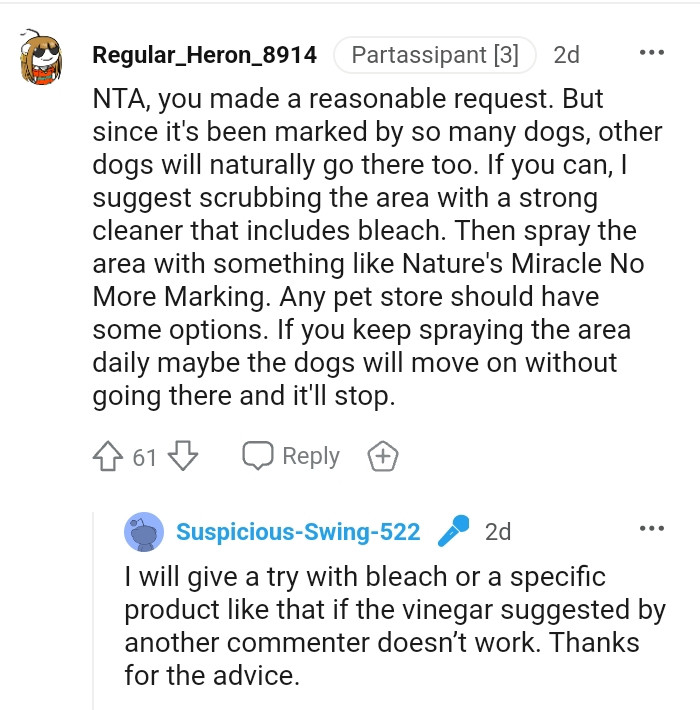 Scrub the area with a strong cleaner