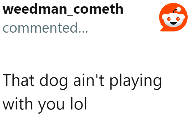 Don't Mess with the Angry Doggo.