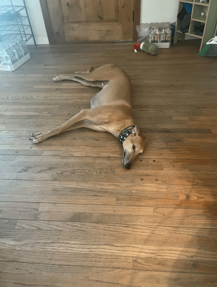 2. Let sleeping dogs lie.