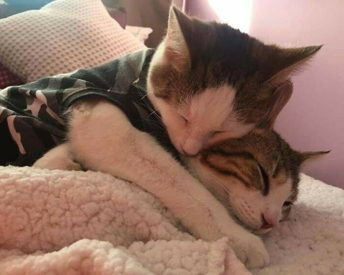 33. So warm, so sweet!