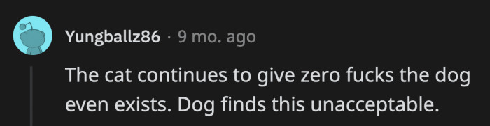 30. The dog needs an ego check, which the cat gladly provides.