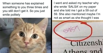 50 Hilarious and Relatable Memes to Brighten Your Day
