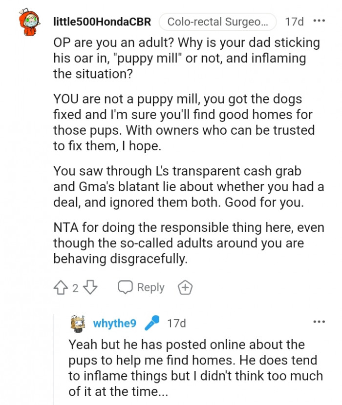 This Redditor is sure the OP will find good homes for the pups