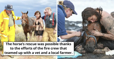 Brave Woman Stood Her Ground To Rescue Her Horse Stuck In The Mud During A Rising Tide