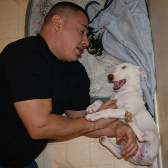 "This Is How I Find My Husband After Not Seeing Him For Almost 2 Weeks. Forget Greeting The Wife And Children. He Missed His "Baby"!"