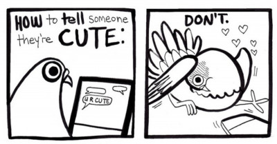14 Funny, Pigeon-Themed Comic Strips That Will Brighten Your Day With Laughter