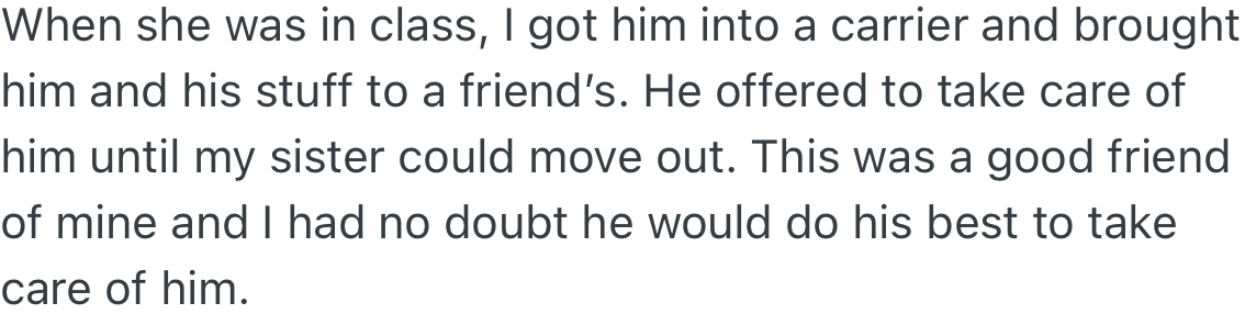 While OP’s sister was away in class, OP took her cat to a friend's house to care for it until her sister moved out.