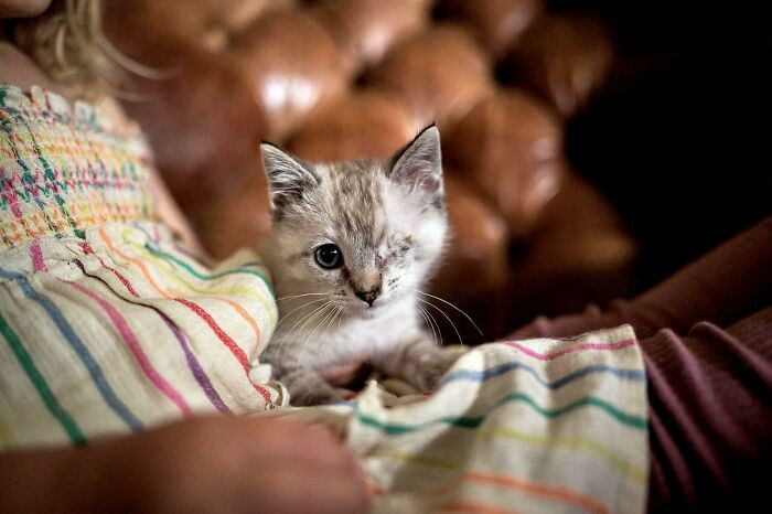 15. "Not one adoption application for this perfect girl."