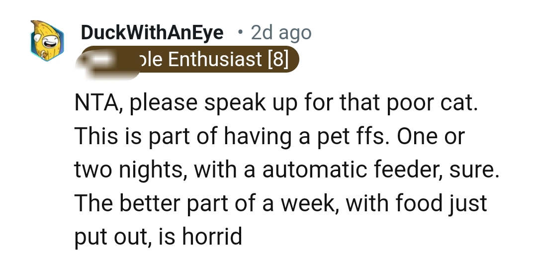 The OP Should Continue Speaking Up for the Poor Cat