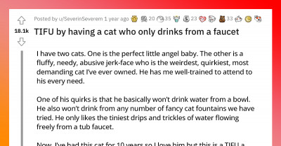 Cat Is Too Spoiled, He Only Drinks Water From The Faucet