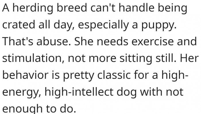 No dog can handle being crated all day