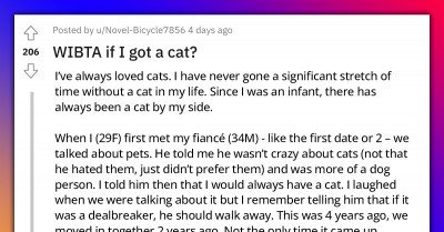 Lady Seeks To Get Another Cat After Her Previous Cat Died, But Her Partner, Who Is A Dog Person, Is Totally Against It