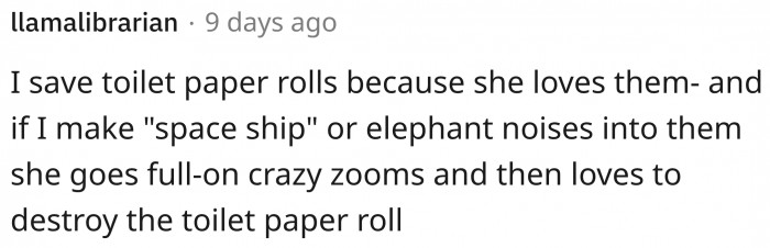 For this owner, toilet paper rolls will do the trick.