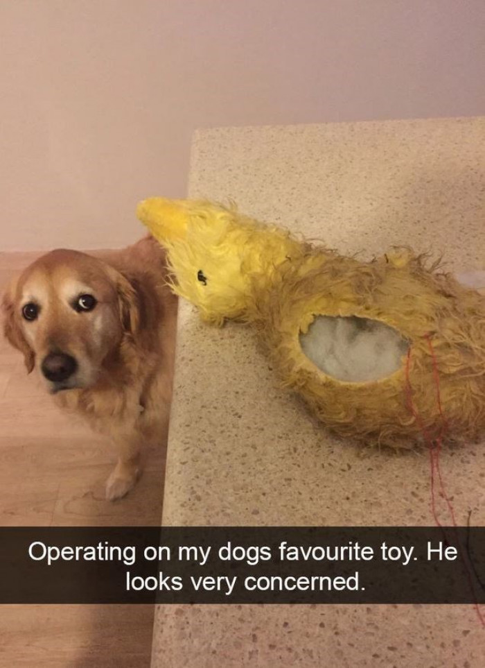 11. A very concerned parent