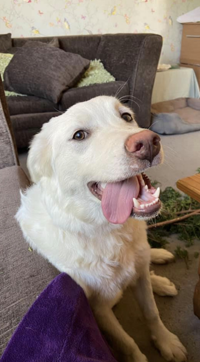 And she's living her best life