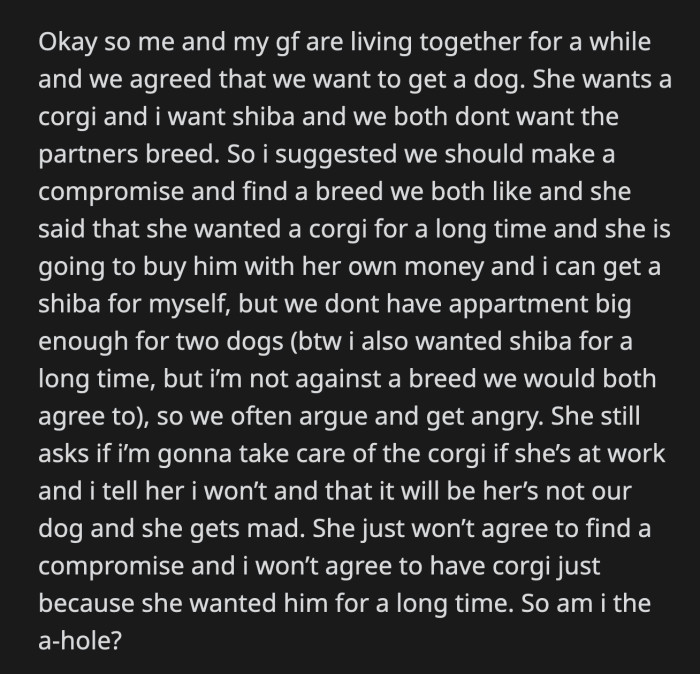 After all, he has always dreamed of owning a Shiba Inu, but he was at least willing to find a breed that the two of them would like.