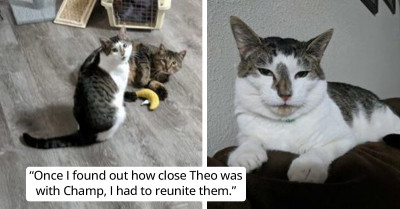 A Week After Adopting a Special Needs Cat, Family Goes Back and Adopts His Best Friend