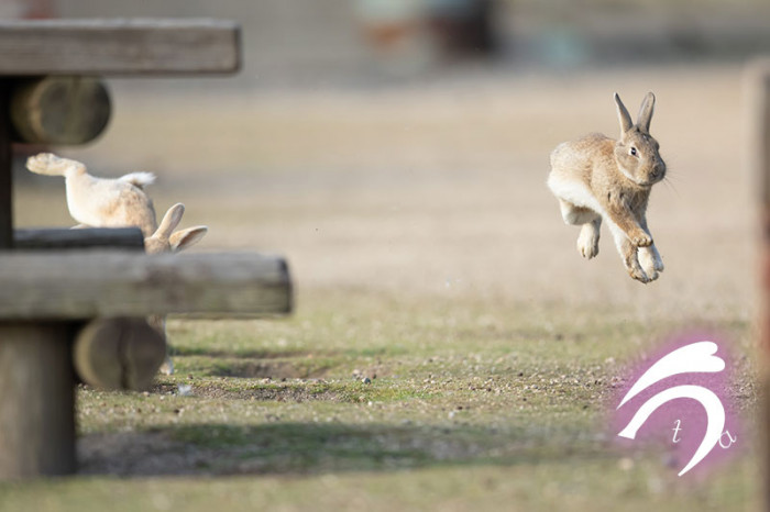 After a while, it was time to call it a day. They both did an amazing job.