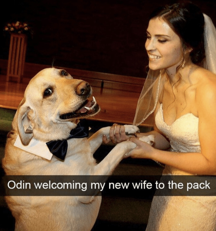 2. Odin is so excited about the new addition, and he's sure that they are all going to live happily ever after