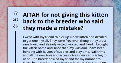 Woman Refuses To Return Kitten She Got For Free From Breeder, Seeks Validation About Her Action