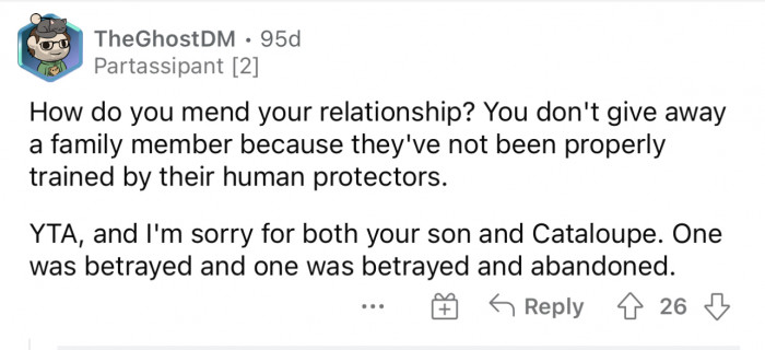 Giving the cat up just seems like he gave up on the cat and his son completely.