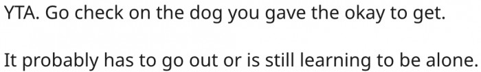 6. It wouldn't hurt if she checked on the dog when it barks.