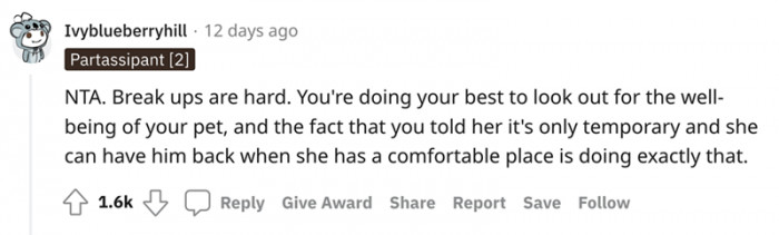 You're doing your best to look out for the cat's well-being