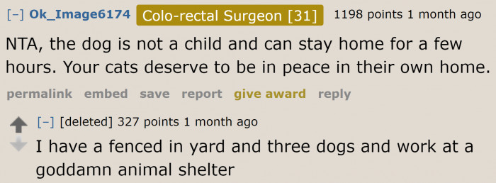 It's their home. No one has the right to demand what they need to do about the cats during a party.