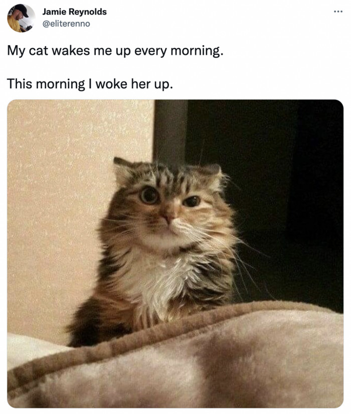 2. Well, well, well. How the turntables.