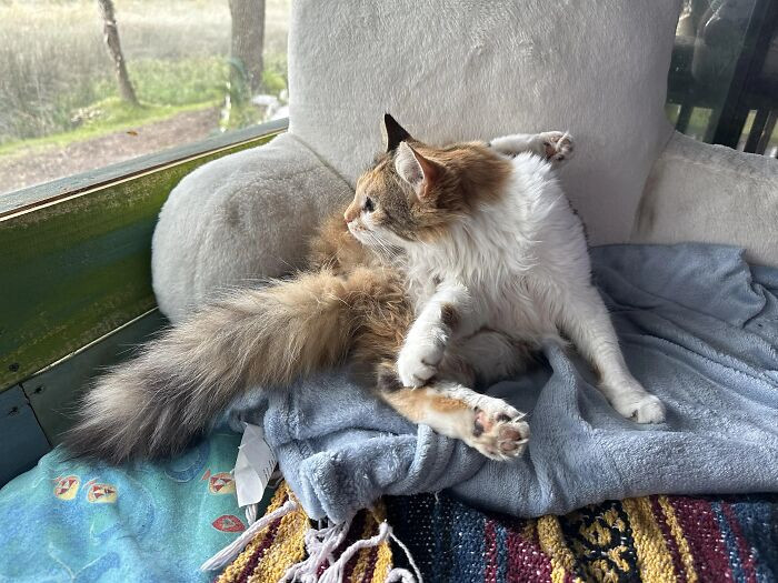 "On The Lookout For… Something"