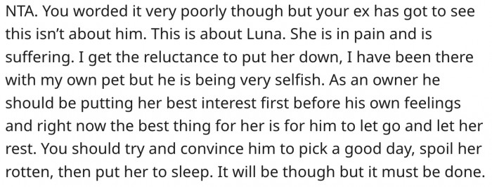 Her ex should prioritize the dog's best interest.