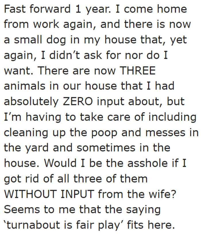 Then He Has to Deal with a Dog, Which His Wife Took Home Without His Consent.