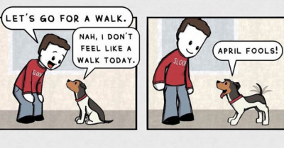 34 Dog Comics Showing How Awesome Life Can Be When You Own A Furry Buddy