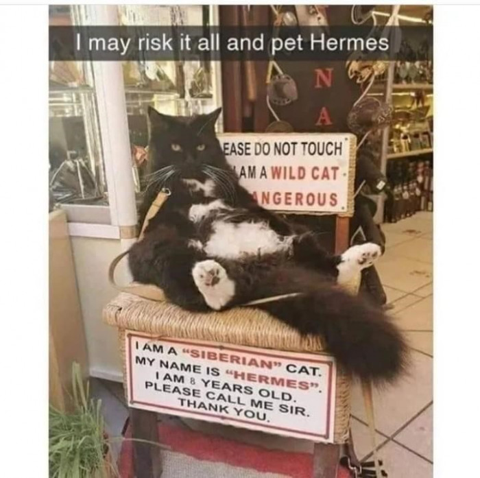 16. Please call me sir, thank you