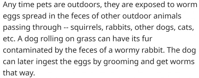 Any time pets are outdoors, they are exposed to worm eggs