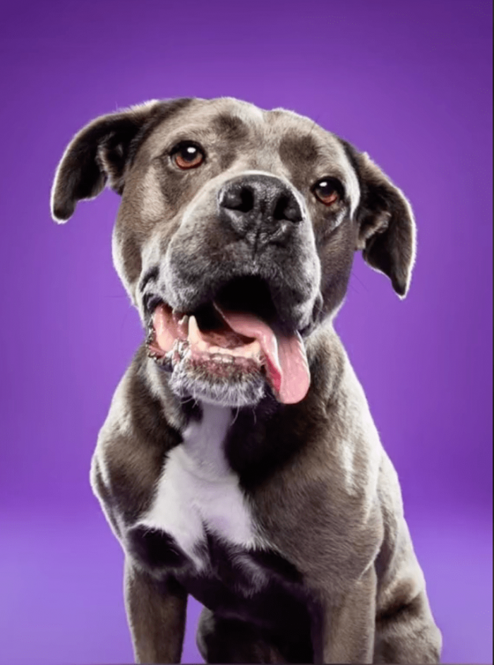 1. "Hi, my name is Luna. Pleased to meet you."