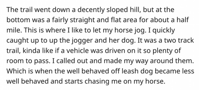 I like to let my horse jog