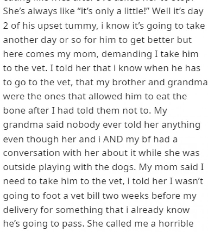 OP's mom told her that she needs to take him to a vet