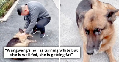 Tears Flow As Retired Police Dog Reunites With Former Handler After Several Years Apart