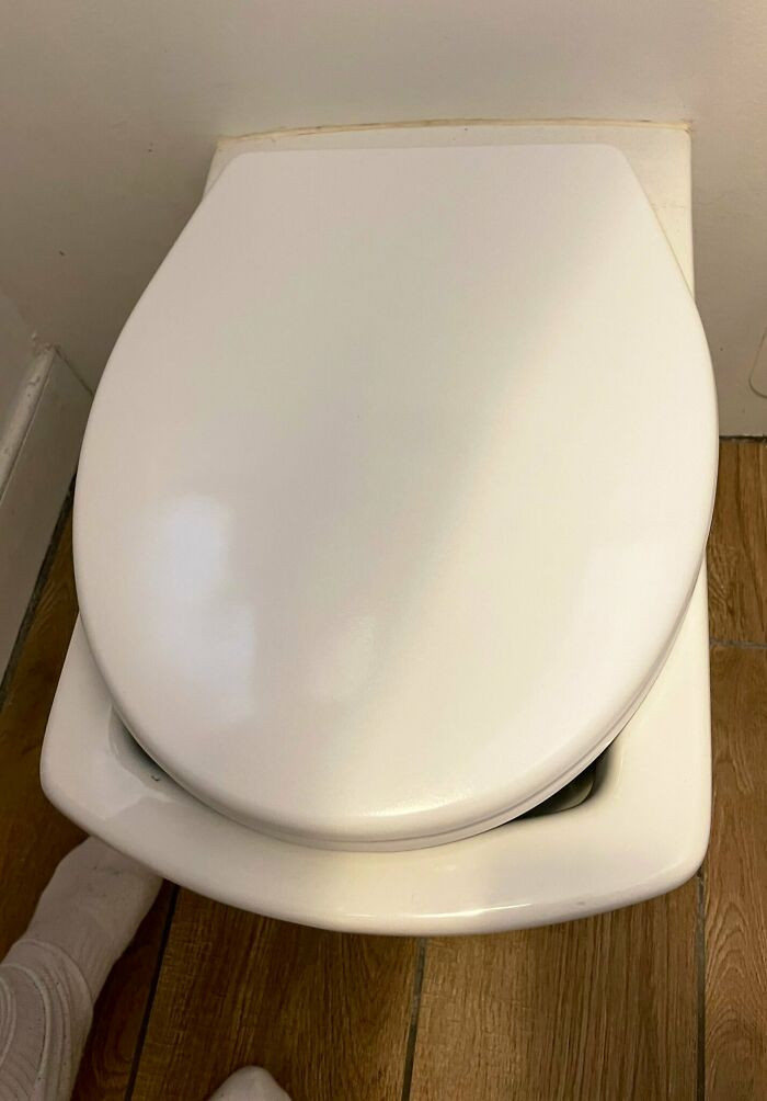 24. The toilet seat in our place got damaged, so the landlady sent us a replacement. However, she disregarded our desire for the new one to be square in shape.