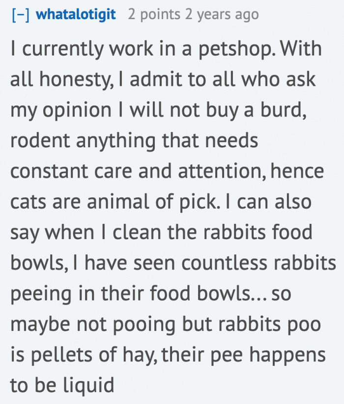 Another Redditor isn't a fan of birds.