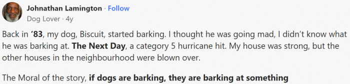 Dog warning his family about the hurricane