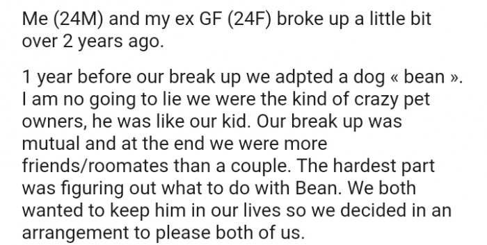 We adopted a dog before our breakup