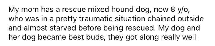 The Reddit user says her mother also has an 8-year-old dog that she rescued from a pretty bad situation.