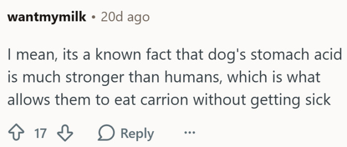 Nah, dogs can handle it...