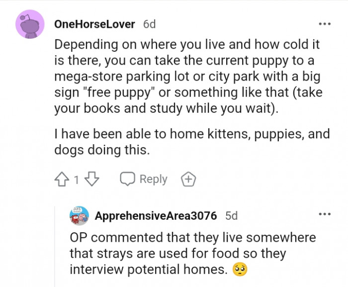 This Redditor is suggesting that the OP take the current puppy to a mega store parking lot or city park